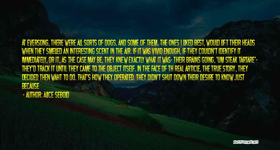 Alice Sebold Quotes: At Eversong, There Were All Sorts Of Dogs. And Some Of Them, The Ones I Liked Best, Would Lift Their