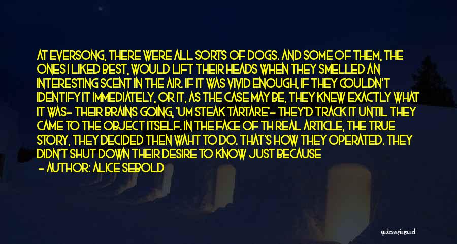 Alice Sebold Quotes: At Eversong, There Were All Sorts Of Dogs. And Some Of Them, The Ones I Liked Best, Would Lift Their