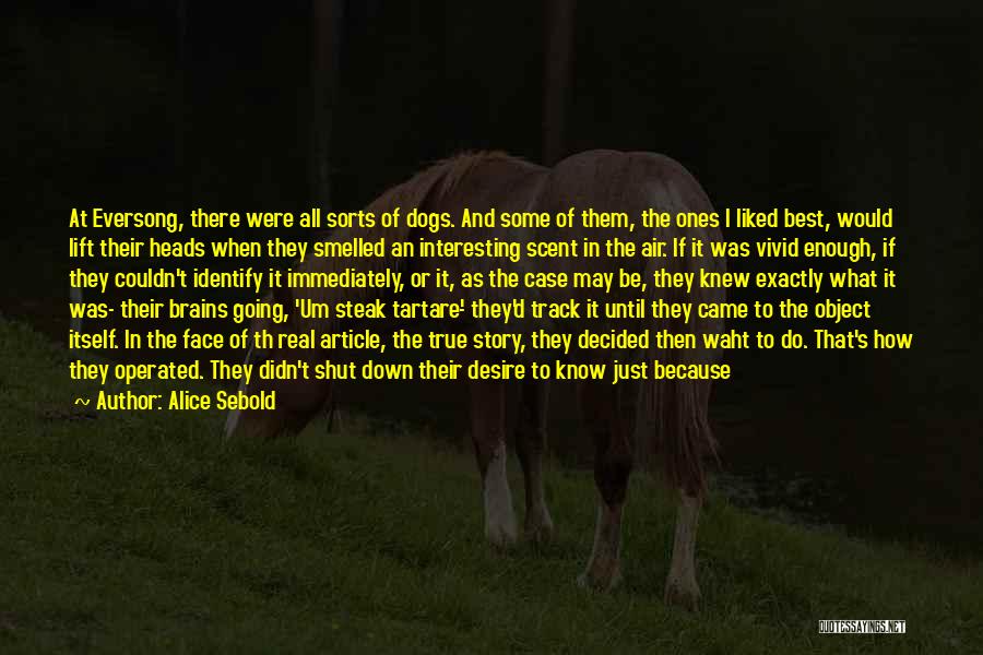 Alice Sebold Quotes: At Eversong, There Were All Sorts Of Dogs. And Some Of Them, The Ones I Liked Best, Would Lift Their