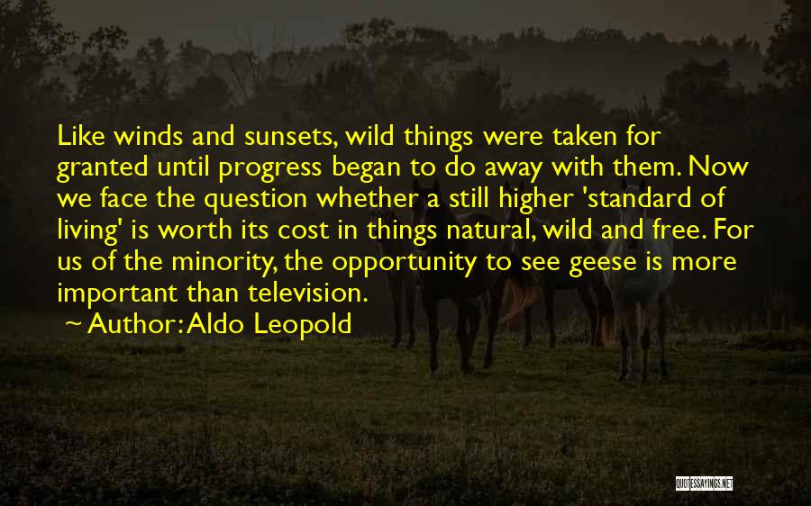Aldo Leopold Quotes: Like Winds And Sunsets, Wild Things Were Taken For Granted Until Progress Began To Do Away With Them. Now We