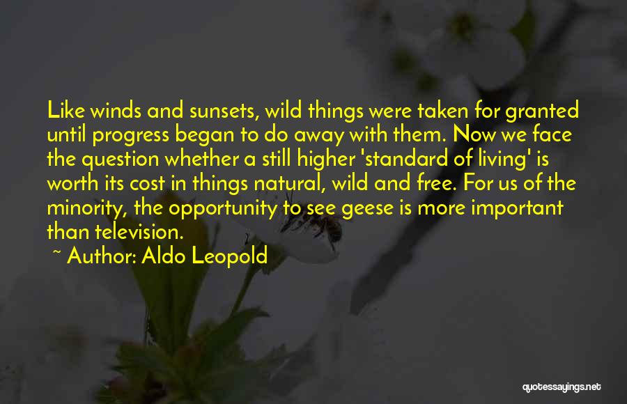 Aldo Leopold Quotes: Like Winds And Sunsets, Wild Things Were Taken For Granted Until Progress Began To Do Away With Them. Now We