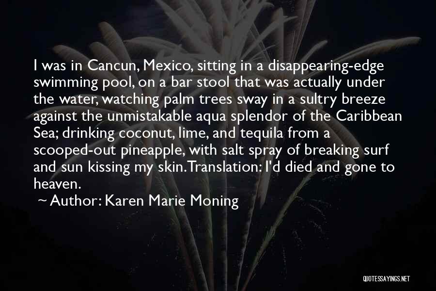 Karen Marie Moning Quotes: I Was In Cancun, Mexico, Sitting In A Disappearing-edge Swimming Pool, On A Bar Stool That Was Actually Under The