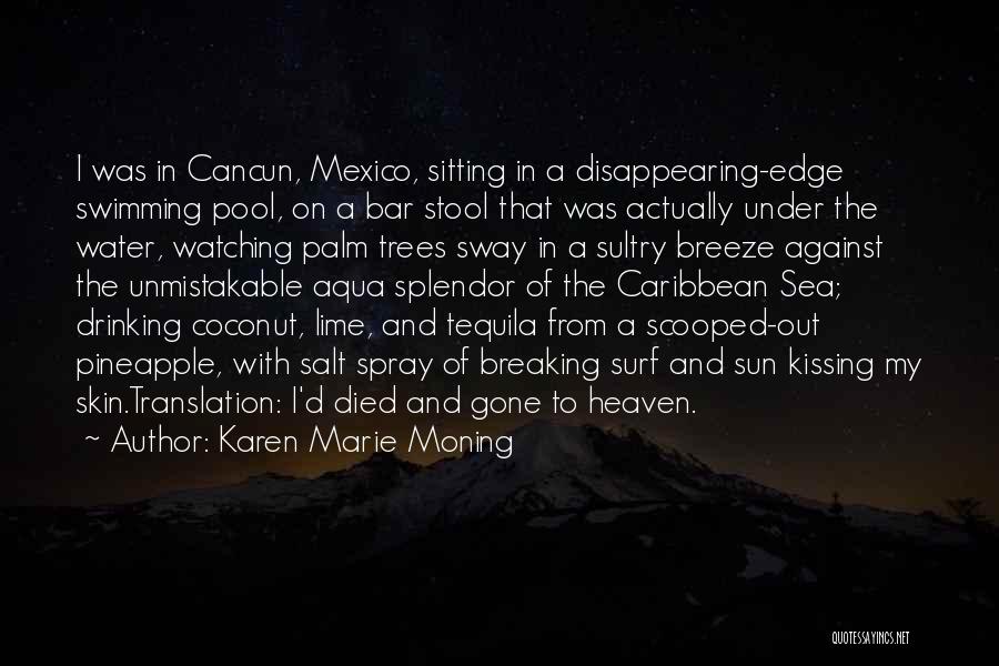 Karen Marie Moning Quotes: I Was In Cancun, Mexico, Sitting In A Disappearing-edge Swimming Pool, On A Bar Stool That Was Actually Under The