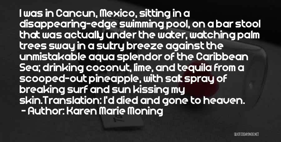 Karen Marie Moning Quotes: I Was In Cancun, Mexico, Sitting In A Disappearing-edge Swimming Pool, On A Bar Stool That Was Actually Under The