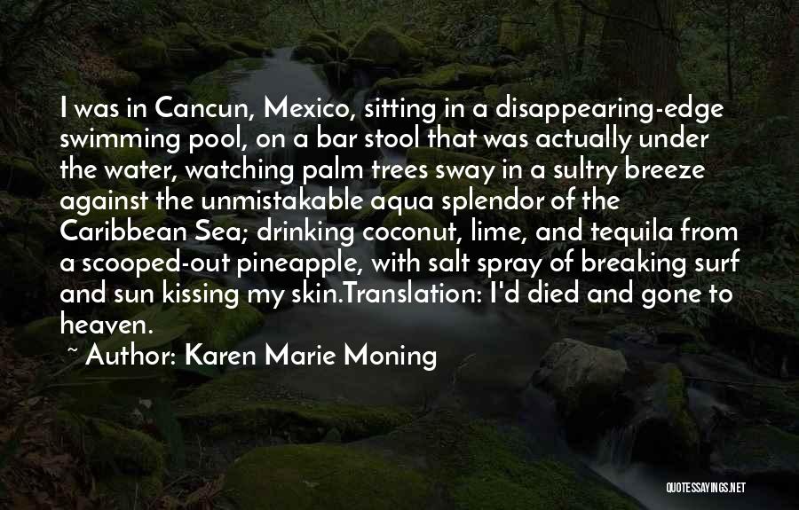 Karen Marie Moning Quotes: I Was In Cancun, Mexico, Sitting In A Disappearing-edge Swimming Pool, On A Bar Stool That Was Actually Under The