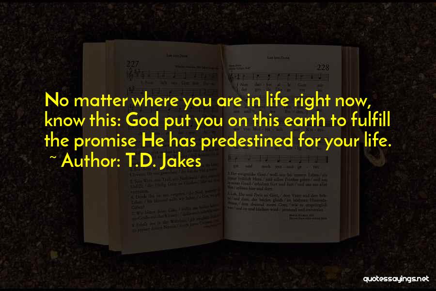 T.D. Jakes Quotes: No Matter Where You Are In Life Right Now, Know This: God Put You On This Earth To Fulfill The