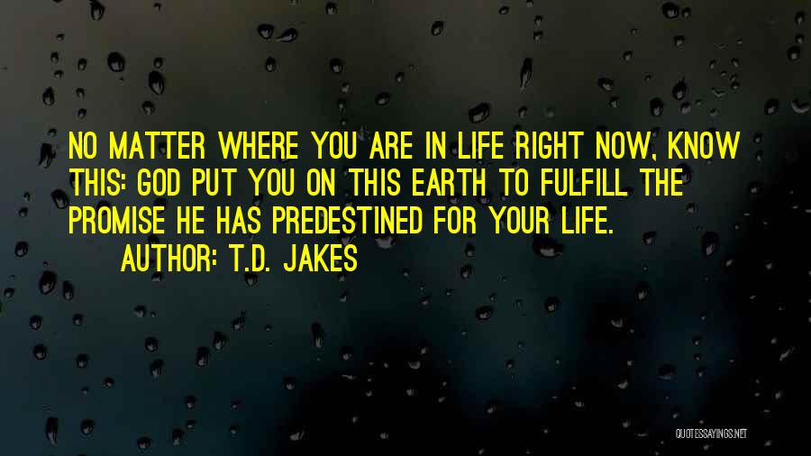 T.D. Jakes Quotes: No Matter Where You Are In Life Right Now, Know This: God Put You On This Earth To Fulfill The