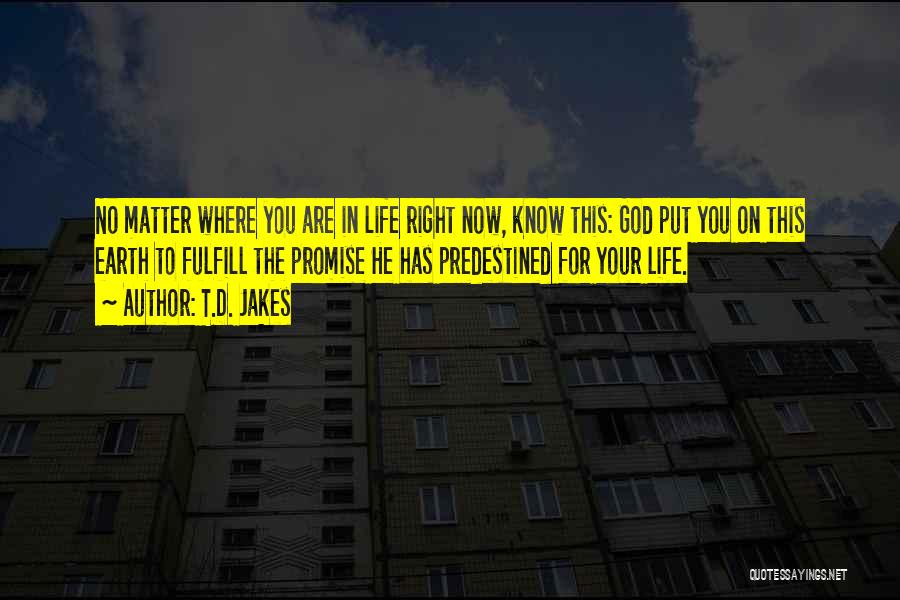 T.D. Jakes Quotes: No Matter Where You Are In Life Right Now, Know This: God Put You On This Earth To Fulfill The