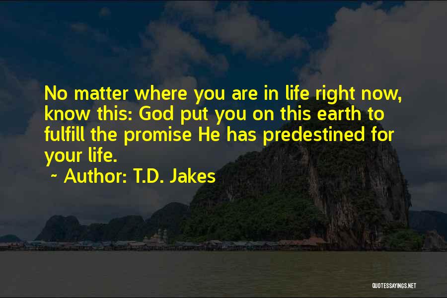 T.D. Jakes Quotes: No Matter Where You Are In Life Right Now, Know This: God Put You On This Earth To Fulfill The
