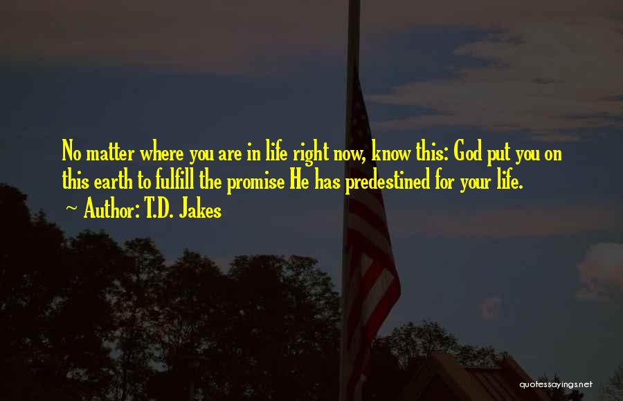 T.D. Jakes Quotes: No Matter Where You Are In Life Right Now, Know This: God Put You On This Earth To Fulfill The