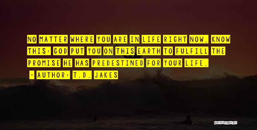 T.D. Jakes Quotes: No Matter Where You Are In Life Right Now, Know This: God Put You On This Earth To Fulfill The