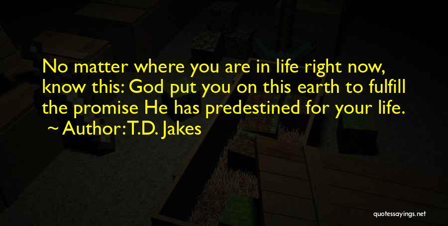 T.D. Jakes Quotes: No Matter Where You Are In Life Right Now, Know This: God Put You On This Earth To Fulfill The