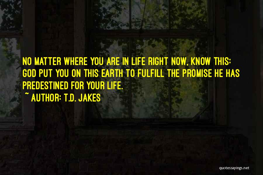 T.D. Jakes Quotes: No Matter Where You Are In Life Right Now, Know This: God Put You On This Earth To Fulfill The