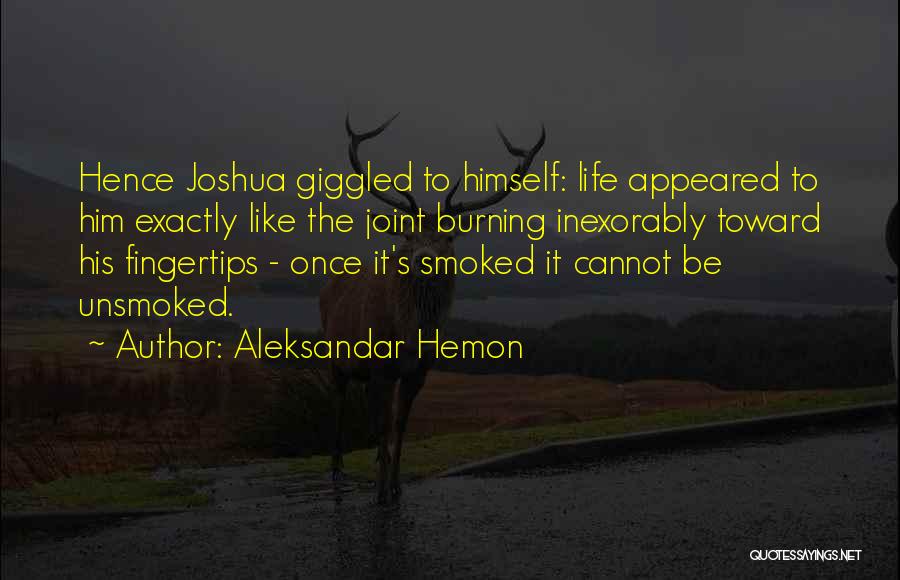 Aleksandar Hemon Quotes: Hence Joshua Giggled To Himself: Life Appeared To Him Exactly Like The Joint Burning Inexorably Toward His Fingertips - Once