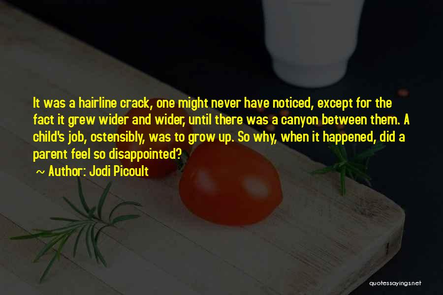 Jodi Picoult Quotes: It Was A Hairline Crack, One Might Never Have Noticed, Except For The Fact It Grew Wider And Wider, Until