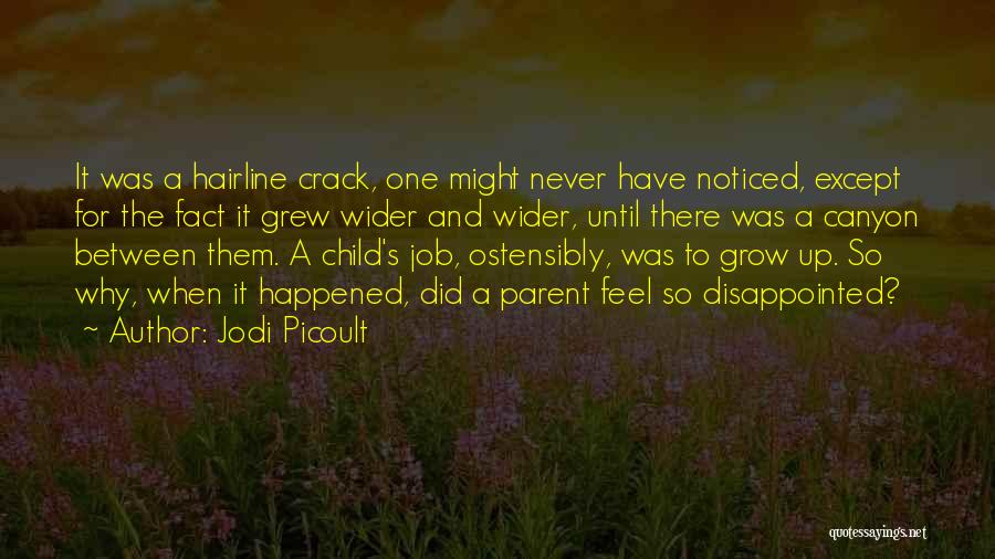 Jodi Picoult Quotes: It Was A Hairline Crack, One Might Never Have Noticed, Except For The Fact It Grew Wider And Wider, Until