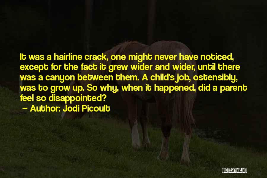 Jodi Picoult Quotes: It Was A Hairline Crack, One Might Never Have Noticed, Except For The Fact It Grew Wider And Wider, Until