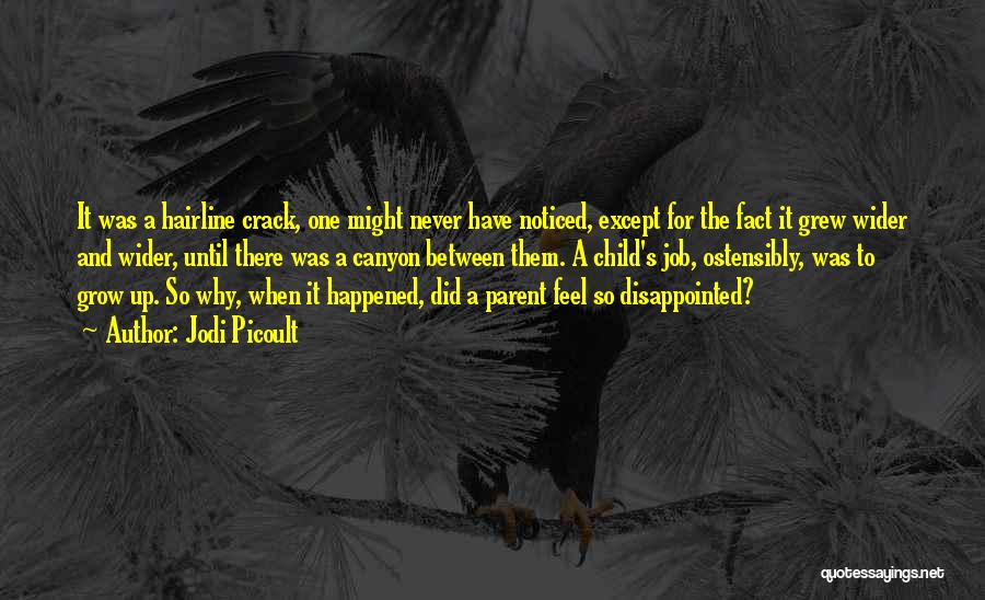 Jodi Picoult Quotes: It Was A Hairline Crack, One Might Never Have Noticed, Except For The Fact It Grew Wider And Wider, Until