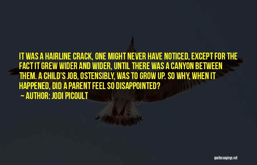 Jodi Picoult Quotes: It Was A Hairline Crack, One Might Never Have Noticed, Except For The Fact It Grew Wider And Wider, Until