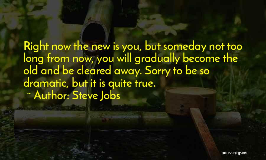 Steve Jobs Quotes: Right Now The New Is You, But Someday Not Too Long From Now, You Will Gradually Become The Old And