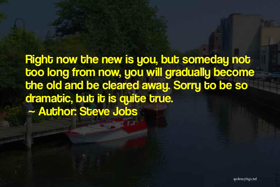 Steve Jobs Quotes: Right Now The New Is You, But Someday Not Too Long From Now, You Will Gradually Become The Old And