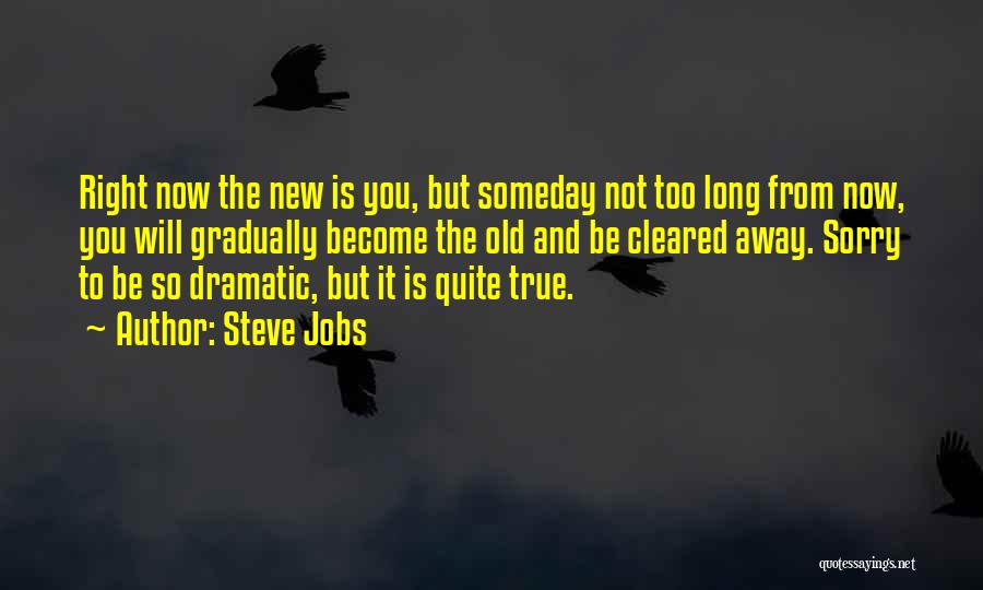 Steve Jobs Quotes: Right Now The New Is You, But Someday Not Too Long From Now, You Will Gradually Become The Old And