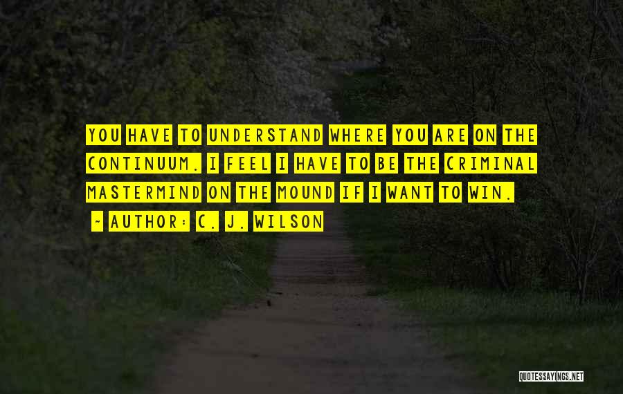 C. J. Wilson Quotes: You Have To Understand Where You Are On The Continuum. I Feel I Have To Be The Criminal Mastermind On