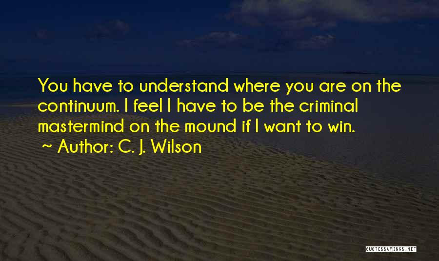 C. J. Wilson Quotes: You Have To Understand Where You Are On The Continuum. I Feel I Have To Be The Criminal Mastermind On