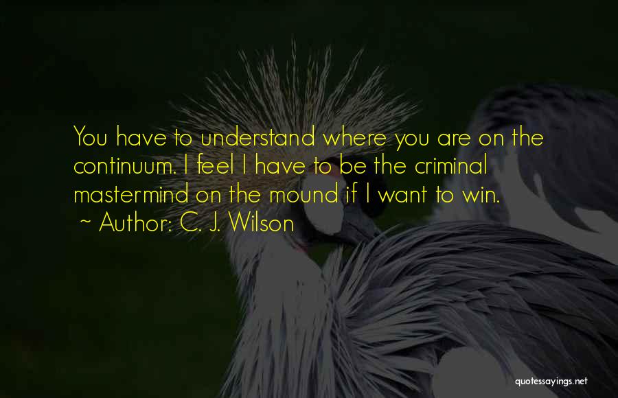 C. J. Wilson Quotes: You Have To Understand Where You Are On The Continuum. I Feel I Have To Be The Criminal Mastermind On