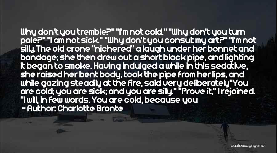 Charlotte Bronte Quotes: Why Don't You Tremble? I'm Not Cold. Why Don't You Turn Pale? I Am Not Sick. Why Don't You Consult