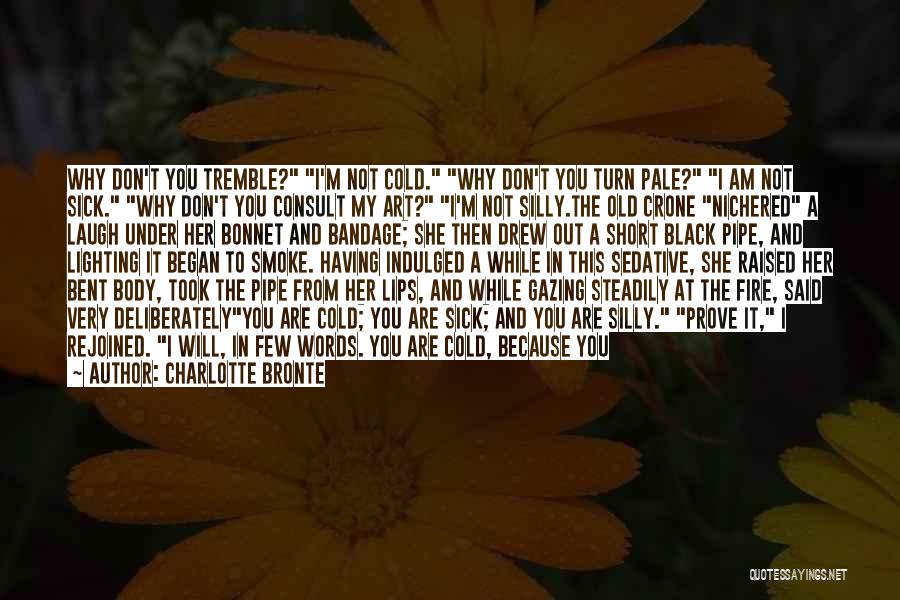 Charlotte Bronte Quotes: Why Don't You Tremble? I'm Not Cold. Why Don't You Turn Pale? I Am Not Sick. Why Don't You Consult