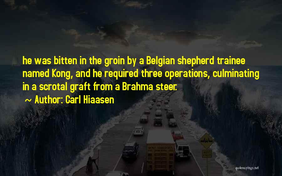 Carl Hiaasen Quotes: He Was Bitten In The Groin By A Belgian Shepherd Trainee Named Kong, And He Required Three Operations, Culminating In