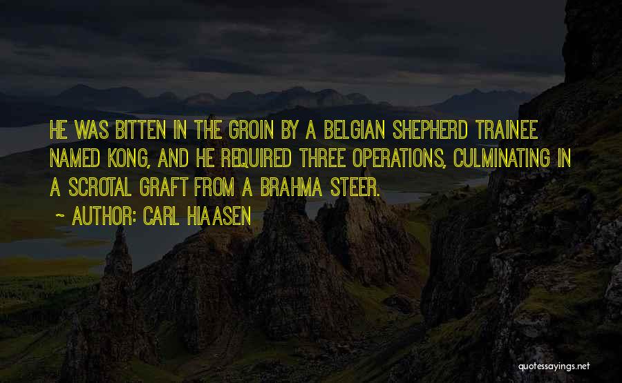 Carl Hiaasen Quotes: He Was Bitten In The Groin By A Belgian Shepherd Trainee Named Kong, And He Required Three Operations, Culminating In