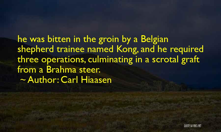 Carl Hiaasen Quotes: He Was Bitten In The Groin By A Belgian Shepherd Trainee Named Kong, And He Required Three Operations, Culminating In