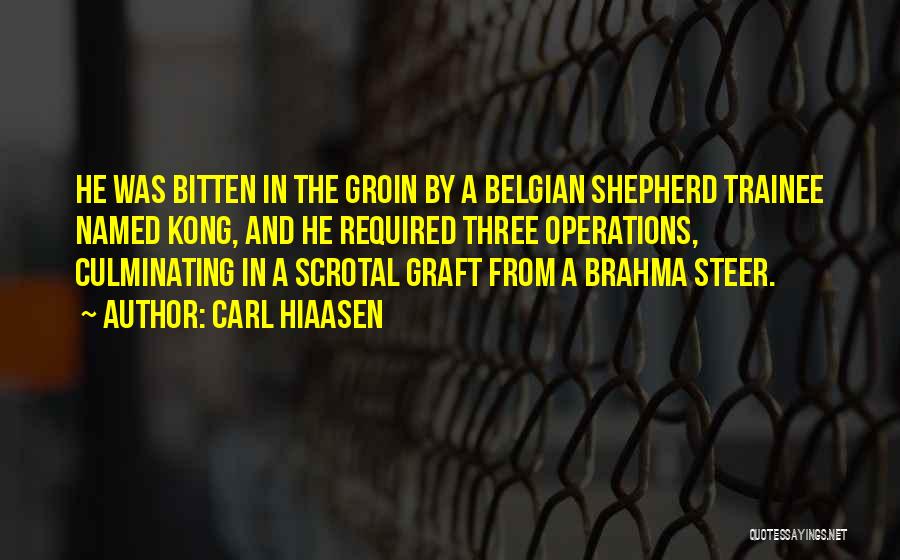 Carl Hiaasen Quotes: He Was Bitten In The Groin By A Belgian Shepherd Trainee Named Kong, And He Required Three Operations, Culminating In