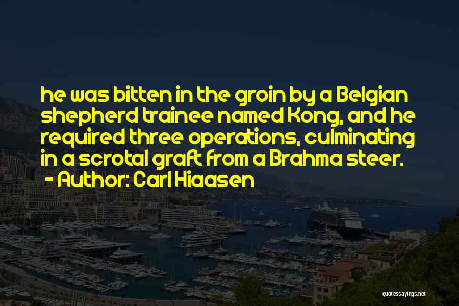 Carl Hiaasen Quotes: He Was Bitten In The Groin By A Belgian Shepherd Trainee Named Kong, And He Required Three Operations, Culminating In