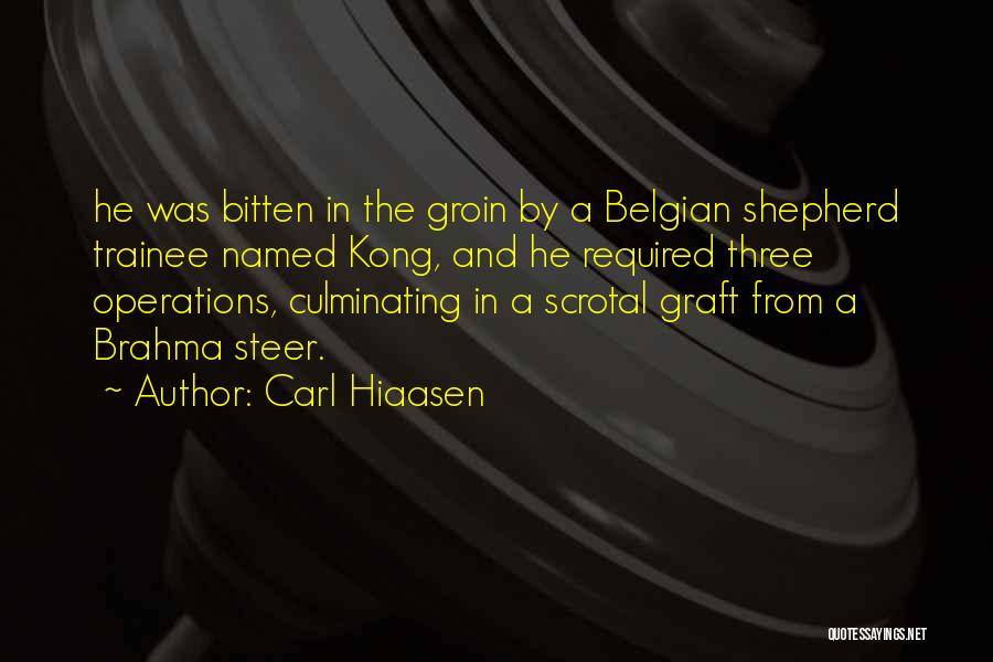 Carl Hiaasen Quotes: He Was Bitten In The Groin By A Belgian Shepherd Trainee Named Kong, And He Required Three Operations, Culminating In