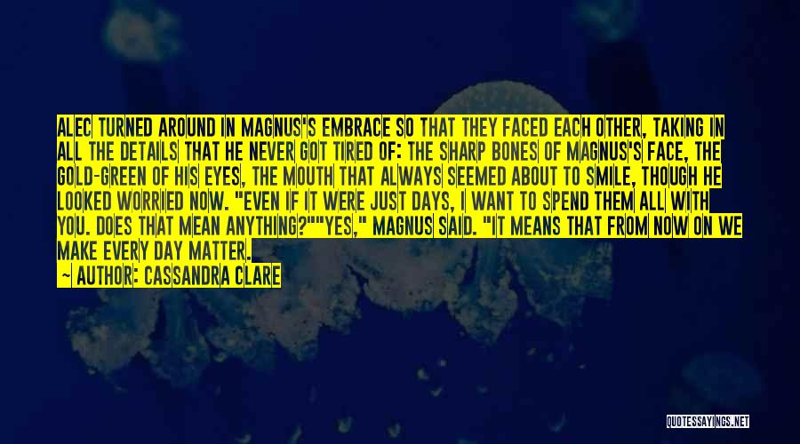 Cassandra Clare Quotes: Alec Turned Around In Magnus's Embrace So That They Faced Each Other, Taking In All The Details That He Never