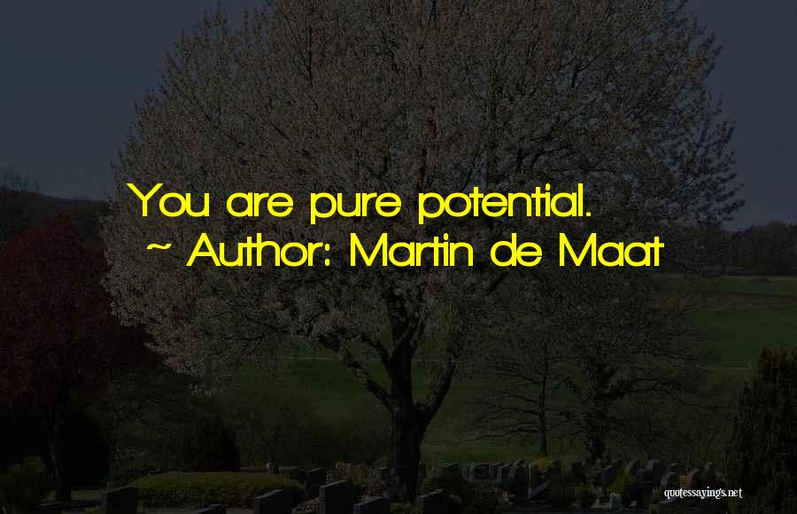 Martin De Maat Quotes: You Are Pure Potential.