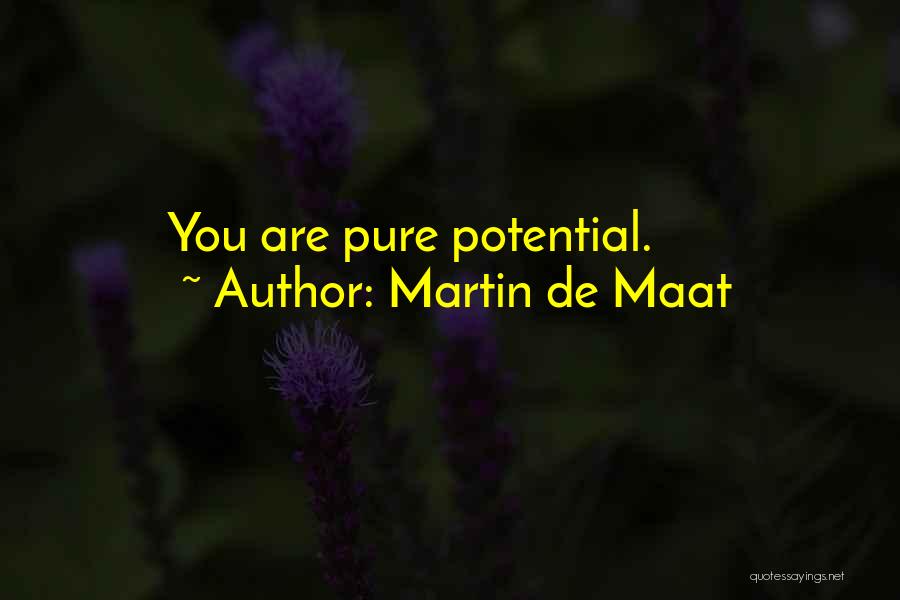 Martin De Maat Quotes: You Are Pure Potential.