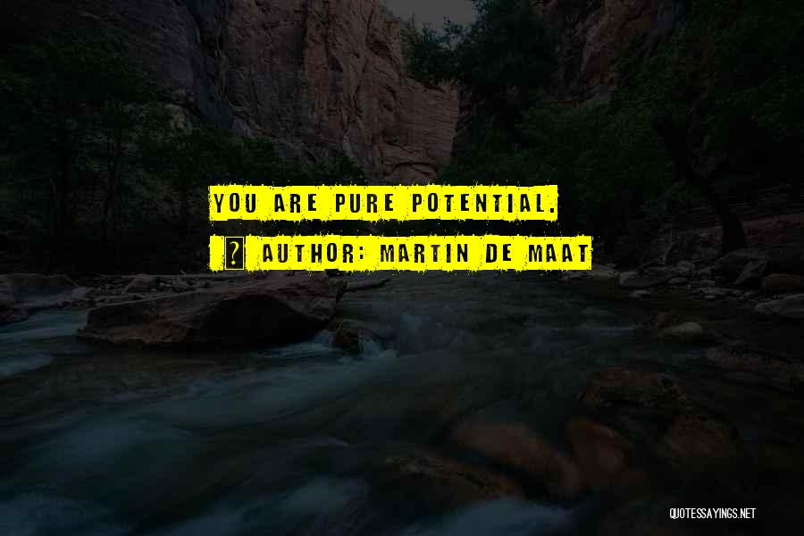 Martin De Maat Quotes: You Are Pure Potential.