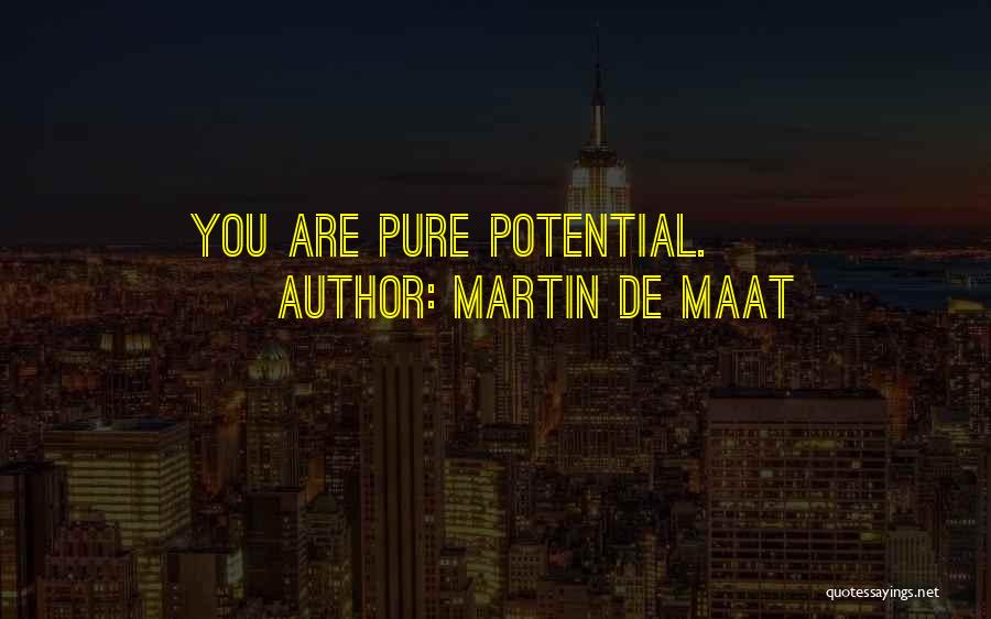 Martin De Maat Quotes: You Are Pure Potential.