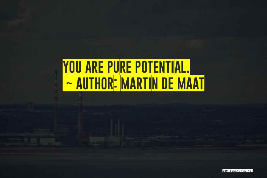 Martin De Maat Quotes: You Are Pure Potential.