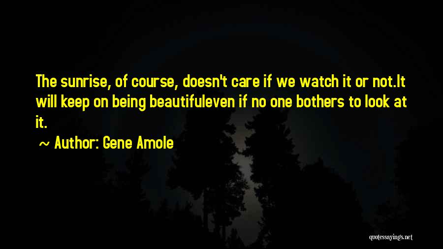 Gene Amole Quotes: The Sunrise, Of Course, Doesn't Care If We Watch It Or Not.it Will Keep On Being Beautifuleven If No One