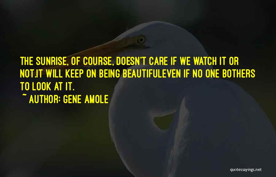 Gene Amole Quotes: The Sunrise, Of Course, Doesn't Care If We Watch It Or Not.it Will Keep On Being Beautifuleven If No One