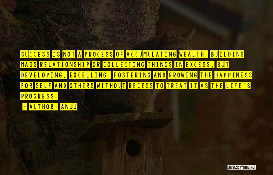 Anuj Quotes: Success Is Not A Process Of Accumulating Wealth, Building Mass Relationship Or Collecting Things In Excess, But Developing, Excelling, Fostering