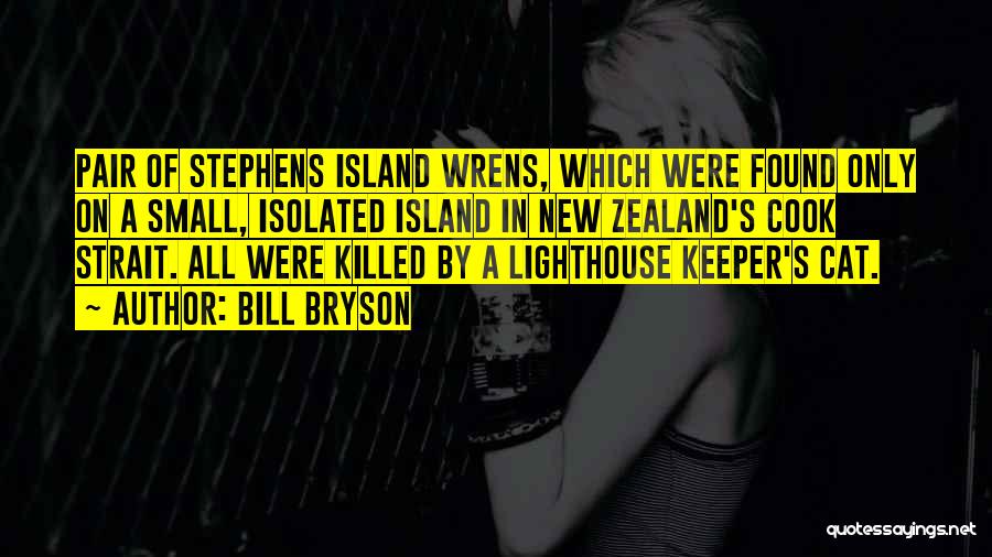 Bill Bryson Quotes: Pair Of Stephens Island Wrens, Which Were Found Only On A Small, Isolated Island In New Zealand's Cook Strait. All