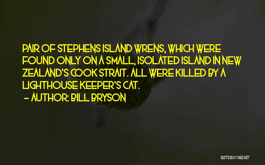 Bill Bryson Quotes: Pair Of Stephens Island Wrens, Which Were Found Only On A Small, Isolated Island In New Zealand's Cook Strait. All