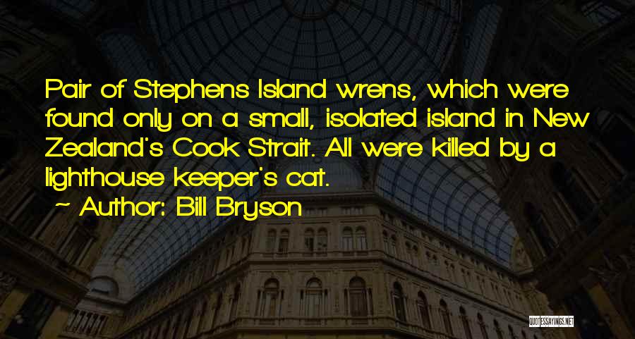 Bill Bryson Quotes: Pair Of Stephens Island Wrens, Which Were Found Only On A Small, Isolated Island In New Zealand's Cook Strait. All