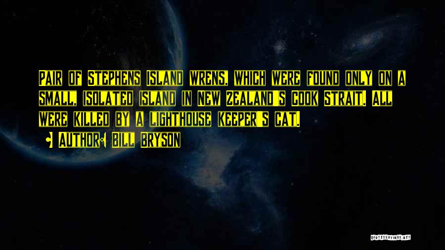 Bill Bryson Quotes: Pair Of Stephens Island Wrens, Which Were Found Only On A Small, Isolated Island In New Zealand's Cook Strait. All